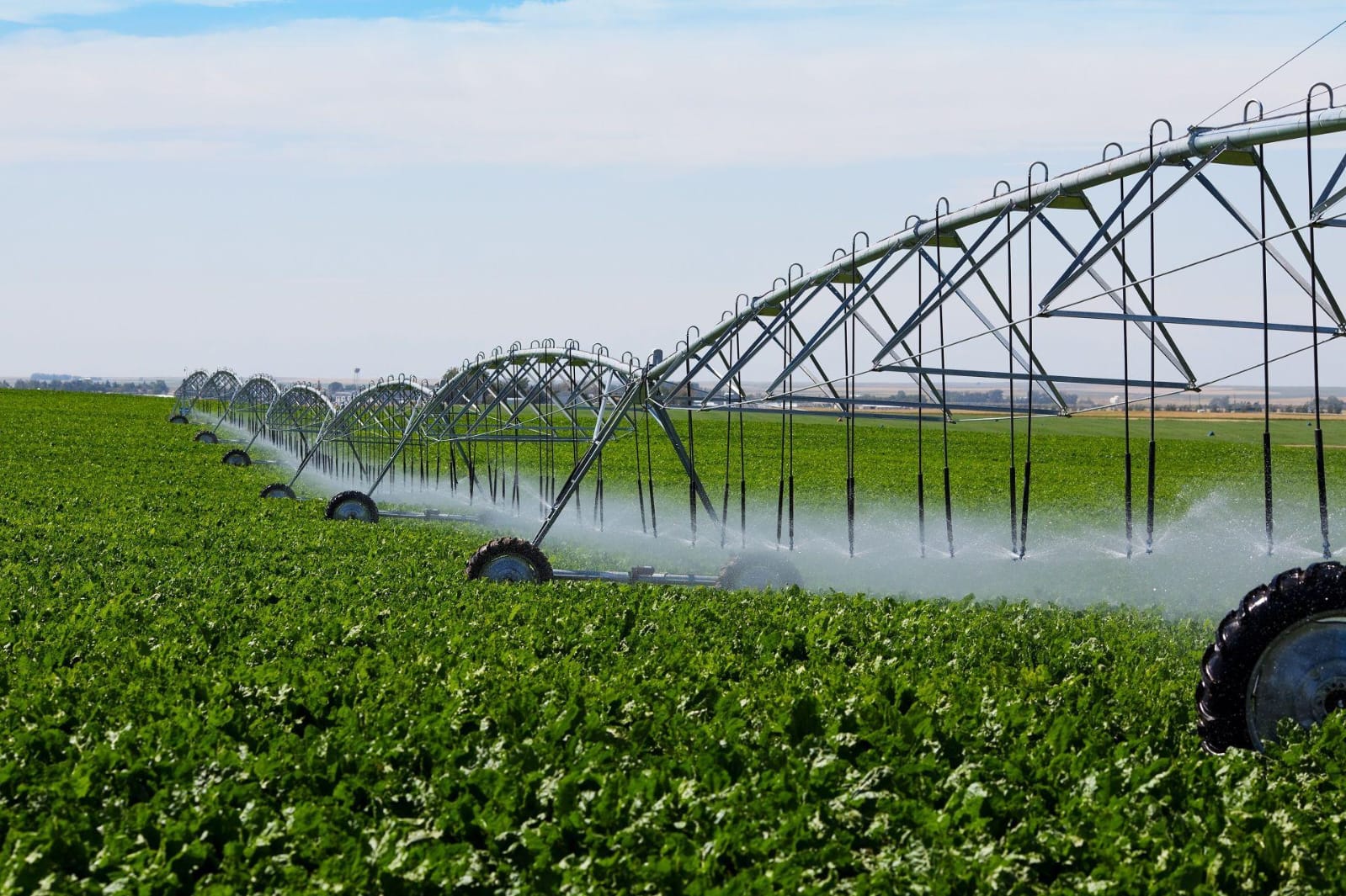 Center pivot irrigation in a green crop field